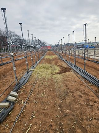 망운천지향토농원님의 자유주제 · 자유게시판 작성글 사진