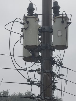 김세리님의 자유주제 · 자유게시판 작성글 사진