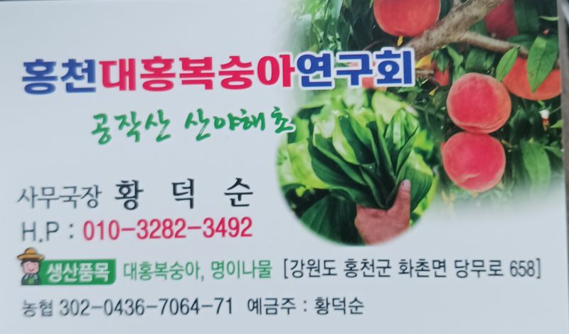 황덕순 님의 장터 판매 상품 [명이나물(산마늘)모종 판매] 첨부 사진