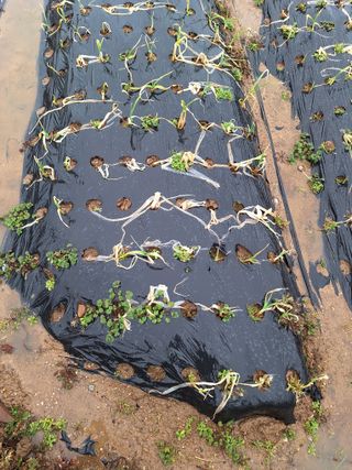 길가다우연히님의 2월 내 작물 자랑하기 · 참여글 작성글 사진