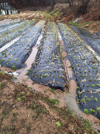 길가다우연히님의 2월 내 작물 자랑하기 · 참여글 작성글 사진