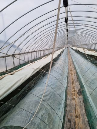 장례지도사1급님의 2월 내 작물 자랑하기 · 참여글 작성글 사진