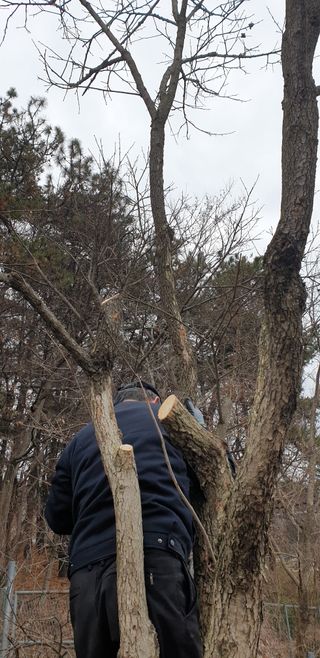 박선화님의 감 · 자유게시판 작성글 사진