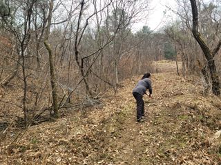 시금치6781님의 2월 내 작물 자랑하기 · 참여글 작성글 사진