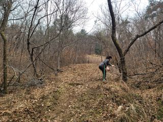 시금치6781님의 2월 내 작물 자랑하기 · 참여글 작성글 사진