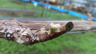 알 수 없음님의 선도농가에 선정된 소감은? · 참여글 작성글 사진