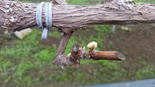 알 수 없음님의 선도농가에 선정된 소감은? · 참여글 작성글 사진