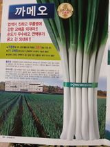 팜모닝 2월 내 작물 자랑하기·참여글 게시글 이미지