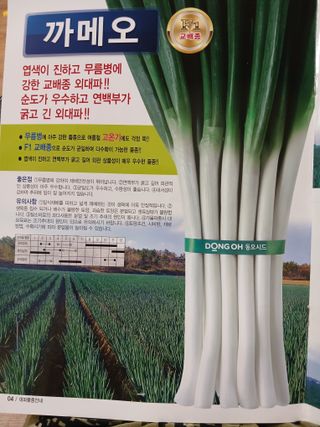 이재경님의 2월 내 작물 자랑하기 · 참여글 작성글 사진