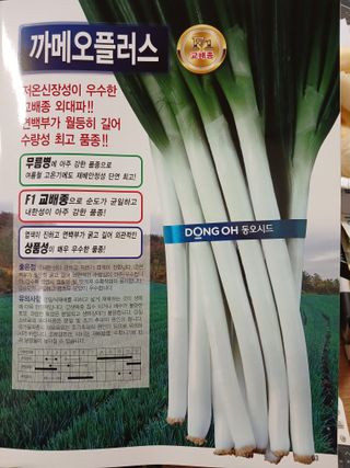 이재경님의 2월 내 작물 자랑하기 · 참여글 작성글 사진