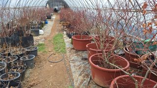 신동원님의 2월 내 작물 자랑하기 · 참여글 작성글 사진