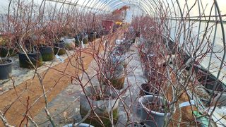 신동원님의 2월 내 작물 자랑하기 · 참여글 작성글 사진