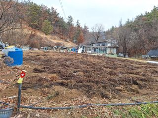 임동식님의 고추 · 토양준비 작성글 사진