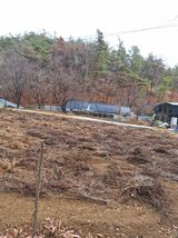 임동식님의 고추·토양준비 작성글 사진