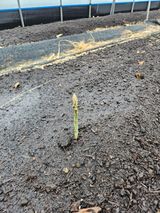 팜모닝 요즘 우리동네 농작업은?·참여글 게시글 이미지