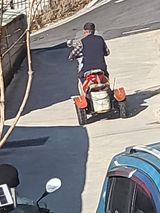 팜모닝 자유주제·자유게시판 게시글 이미지