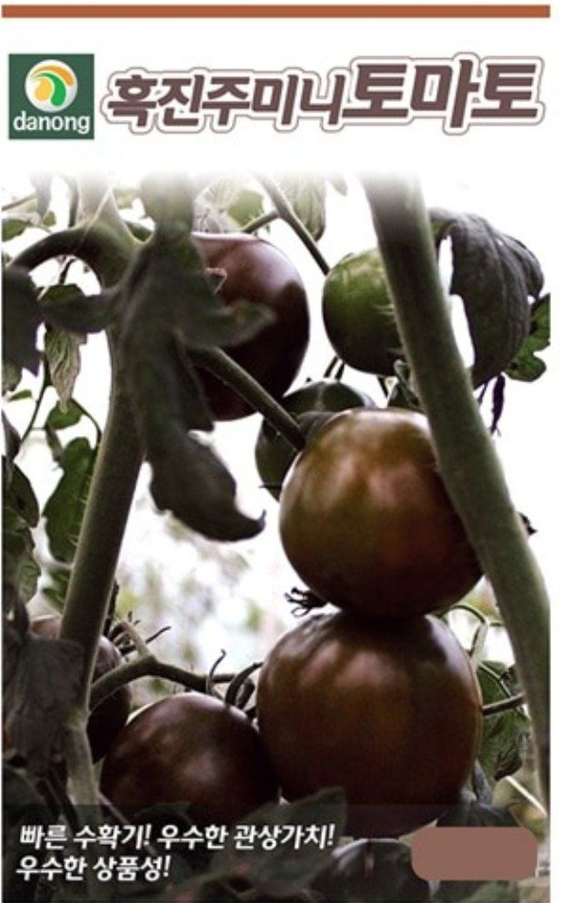 대산농사대장님의 장터 판매 상품 [흑진주미니토마토50립] 첨부 사진