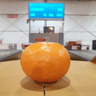 매천시장중앙신홍범님의 자유주제 · 자유게시판 작성글 사진