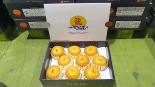 매천시장중앙신홍범님의 자유주제 · 자유게시판 작성글 사진