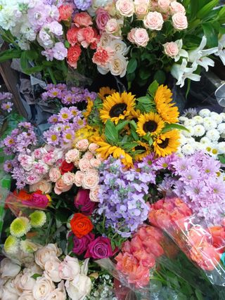 실로암농원님의 자유주제 · 자유게시판 작성글 사진