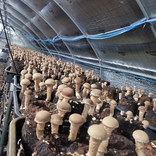 김민화님의 팜모닝 · 출석 작성글 사진