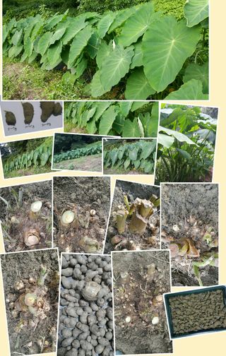 정보센터님의 작성글 사진