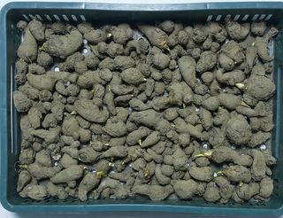 정보센터님의 작성글 사진