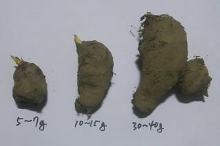 정보센터님의 작성글 사진