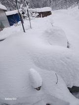 팜모닝 요즘 우리동네 농작업은?·참여글 게시글 이미지