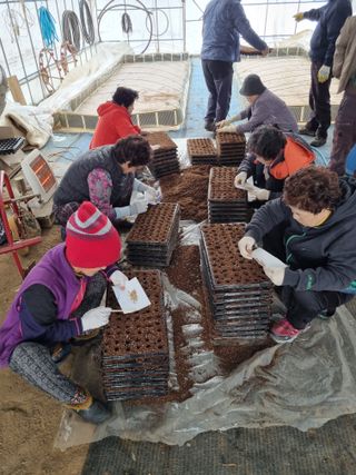 풍요님의 요즘 우리동네 농작업은? · 참여글 작성글 사진
