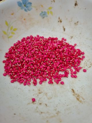 풍요님의 요즘 우리동네 농작업은? · 참여글 작성글 사진