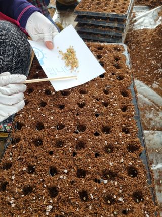 풍요님의 요즘 우리동네 농작업은? · 참여글 작성글 사진