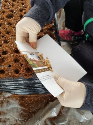 풍요님의 요즘 우리동네 농작업은? · 참여글 작성글 사진