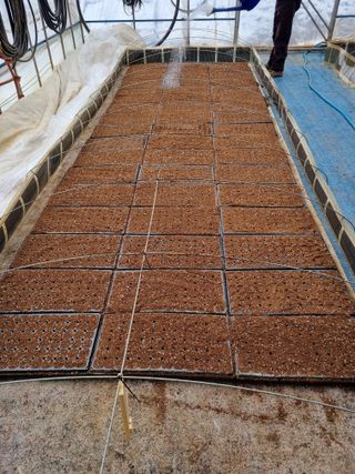 풍요님의 요즘 우리동네 농작업은? · 참여글 작성글 사진