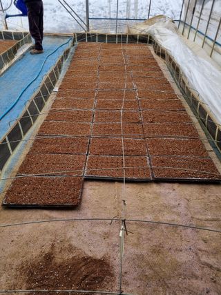 풍요님의 요즘 우리동네 농작업은? · 참여글 작성글 사진