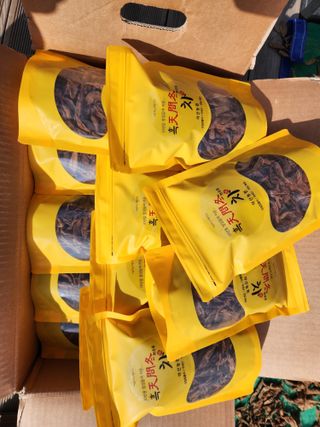 이창신님의 기타작물 · 자유게시판 작성글 사진