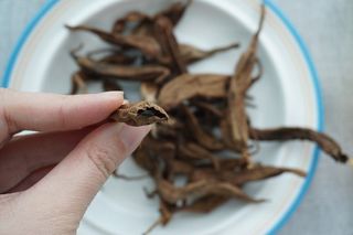 이창신님의 기타작물 · 자유게시판 작성글 사진