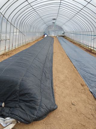 차민주님의 요즘 우리동네 농작업은? · 참여글 작성글 사진