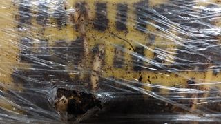 파머스팜X유성천마님의 자유주제 · 자유게시판 작성글 사진