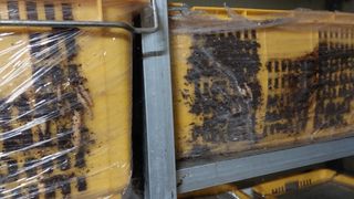 파머스팜X유성천마님의 자유주제 · 자유게시판 작성글 사진