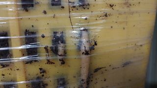 파머스팜X유성천마님의 자유주제 · 자유게시판 작성글 사진