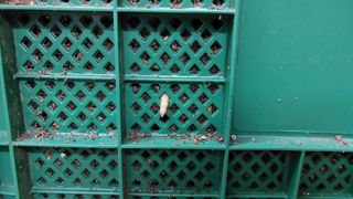 파머스팜X유성천마님의 자유주제 · 자유게시판 작성글 사진