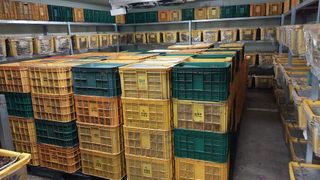 파머스팜X유성천마님의 자유주제 · 자유게시판 작성글 사진