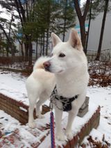 팜모닝 요즘 우리동네 농작업은?·참여글 게시글 이미지