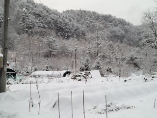 김상호님의 요즘 우리동네 농작업은? · 참여글 작성글 사진