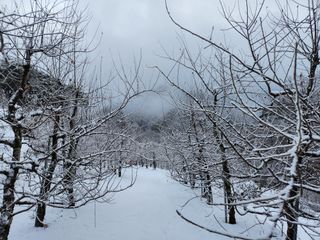 이희규님의 사과 · 영농일지 작성글 사진