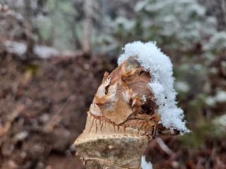 이상헌님의 요즘 우리동네 농작업은? · 참여글 작성글 사진