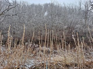 이상헌님의 요즘 우리동네 농작업은? · 참여글 작성글 사진