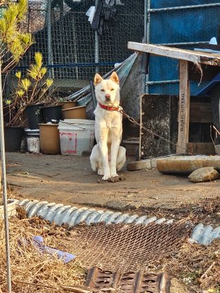 장문업 님의 요즘 우리동네 농작업은? · 참여글 작성글 사진