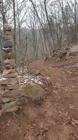 팜모닝 감·자유게시판 게시글 이미지